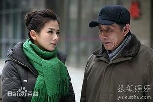 大陆国产剧老有所依视频,温情演绎晚年生活，共筑家庭和谐篇章