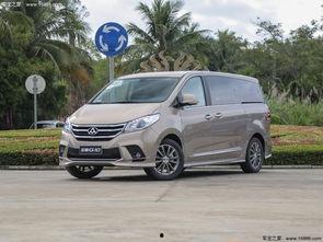 国产大通g10试驾视频