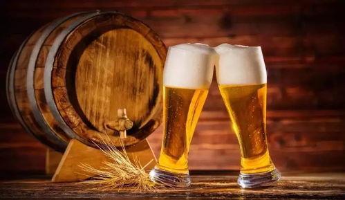 老外评国产精酿啤酒视频,老外眼中的品质与魅力